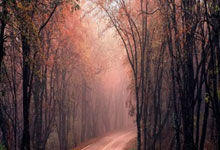 苹果兰陵王授权码_激活码商城支持授权_无限多开app定时发圈版本