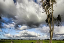 苹果兰陵王授权码_激活码商城支持授权_无限多开app定时发圈版本