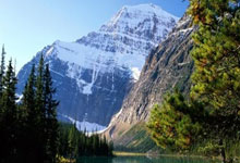 苹果兰陵王授权码_激活码商城支持授权_无限多开app定时发圈版本