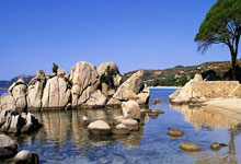 苹果兰陵王授权码_激活码商城支持授权_无限多开app定时发圈版本